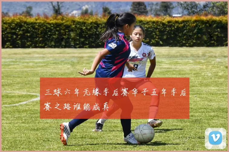 三球六年无缘季后赛华子五年季后赛之路谁能成真